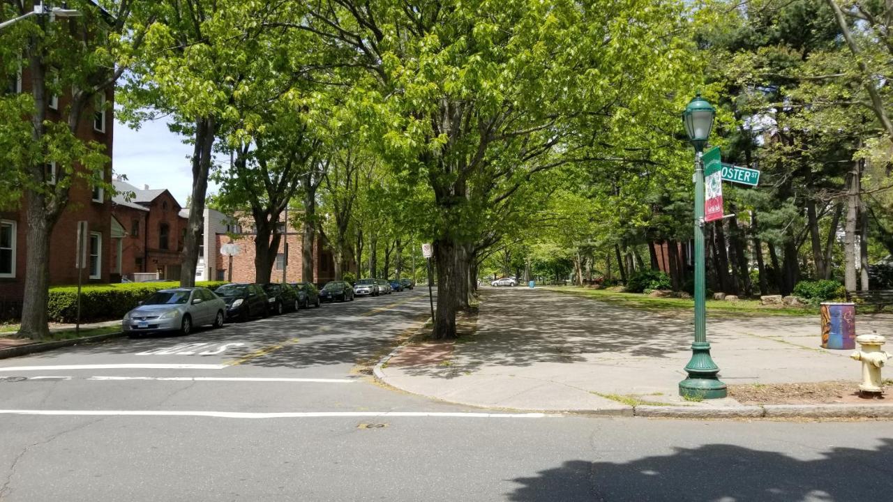 Lovely 2Br Apartment By Wooster Square- Great Neighborhood New Haven Exterior photo